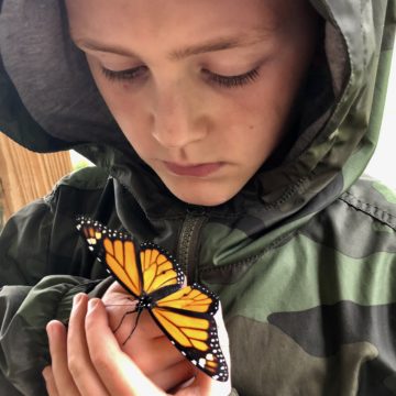 Science Day PM Program (ages 6-18)